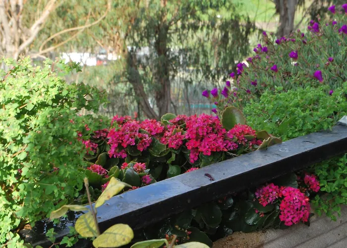 Gemelli - Val Favara Apartament